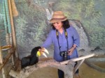 With the hornbill