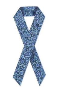 Paisley ribbon