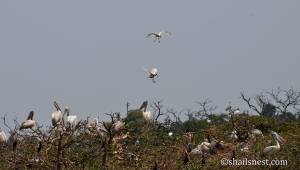 1969357_624195520969053_1965099651_n