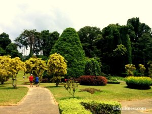 1-botanical garden 6