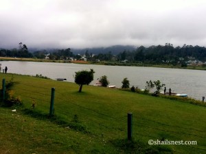 1-IMG_20150809_172015