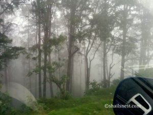 1-IMG_20150810_083002