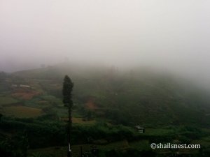 1-IMG_20150810_083202