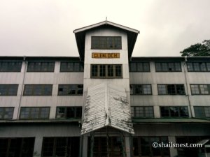 1-IMG_20150810_100203