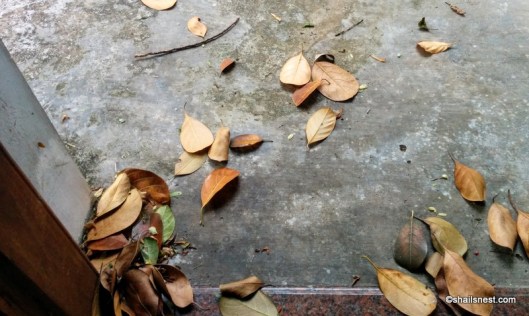 IMG_20160816_181638-001