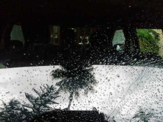 IMG_20170315_181804 (1)